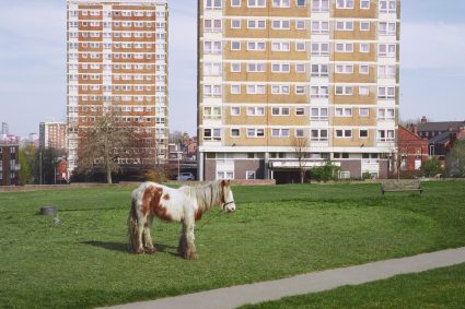 Westside Cowboy – It Goes On (Vö  21.8.)